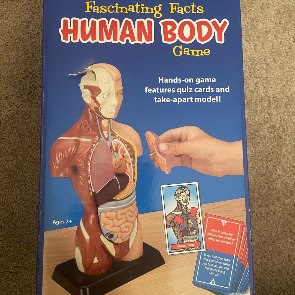 Fascinating Facts Human Body Game - Educational Anatomy Set